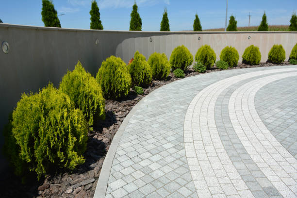 Best Permeable Paver Driveway  in Lakeland, TN